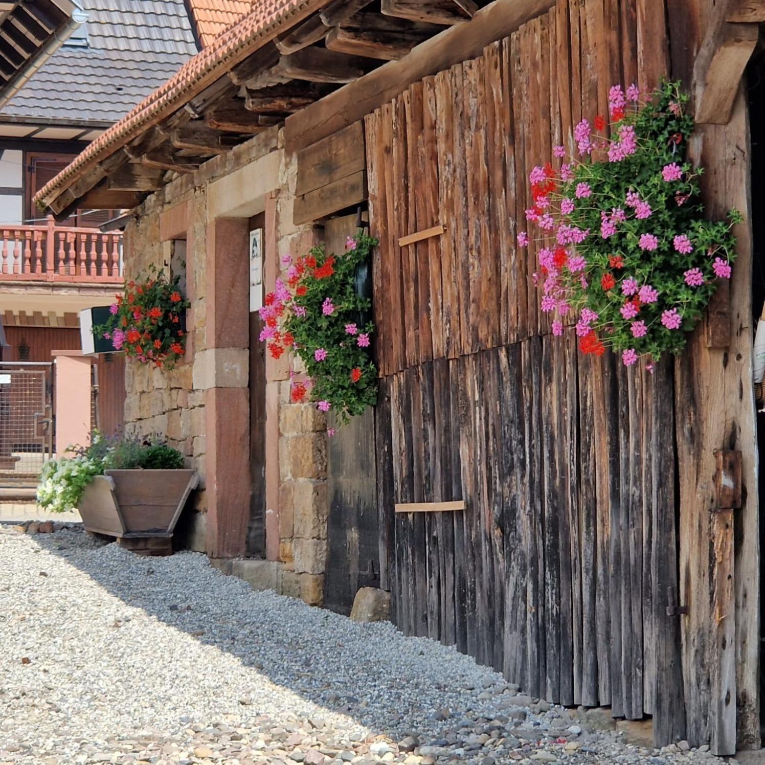 Chambres D'Hotes Chez Linda Stephane Le Passe Compose Preuschdorf Eksteriør billede